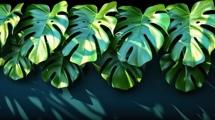 Vector Art showcasing botanical illustrations