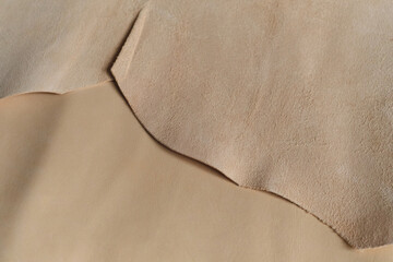 Exhibit of ethically-produced beige leather swatches, symbolizing the growing movement towards sustainable fashion and responsible leather options. Discover the essence of sustainable luxury