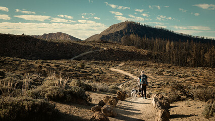 Hiker with his dog walking into the mountains