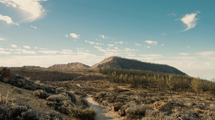 Desert trail into the mountains