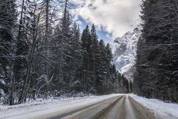 empty road throgh the winter mountain forest - 740049016