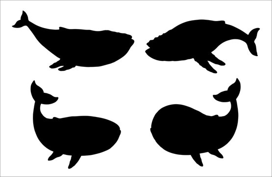 Set of whales black silhouettes. Vector template with funny animals. Template for kids to cut out and stick on.	