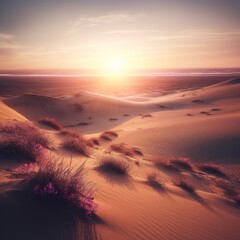 The sun rises over the dunes in the desert