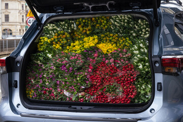 The car full of bright, colourful, beautiful flowers. The car full of different, colourful tulips.
