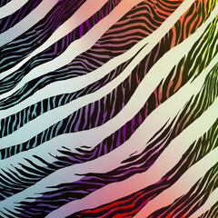 zebra skin texture; animal print pattern and color gradient spot