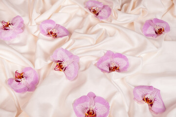 Obraz na płótnie Canvas An orchid flower on crumpled bedding.
