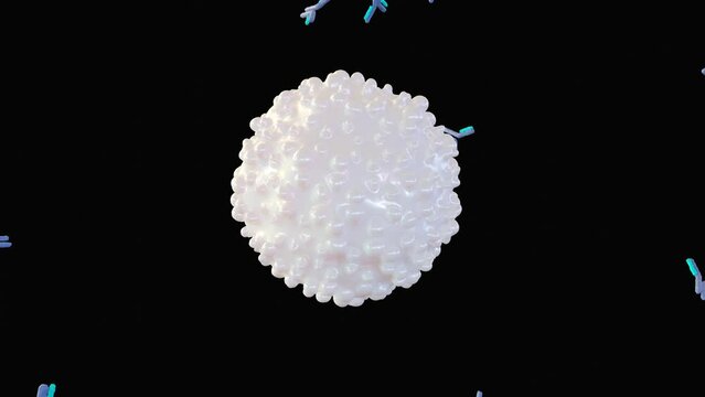 3d animation of antigens as Invaders triggering alarm and Antibodies locking onto invaders, neutralizing them.