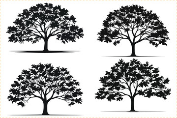 Obraz premium Maple tree silhouette icon set, Silhouettes of maple tree, Tree silhouette isolated on white background