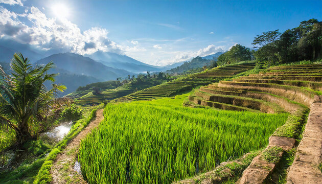 Natural garden views in the middle of the rice terraces