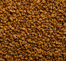 Sesame Seeds background or texture