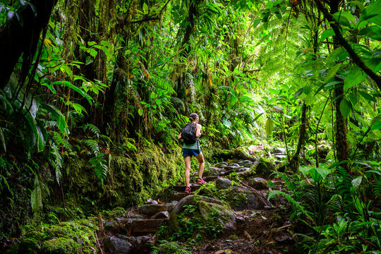 Randonn&eacute;e parc national de Guadeloupe