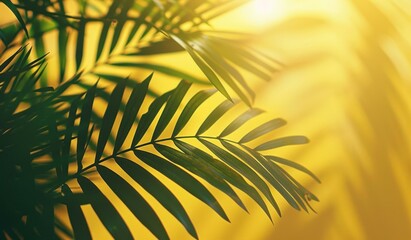 palm leaf silhouette on a yellow background