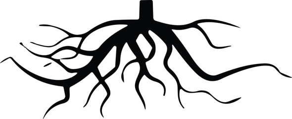 Tree root silhouette icon vector. Taproot and fibrous root system plant, realistic black roots 