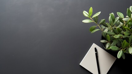Modern workplace with notebook black pencil and little tree copy space on gray background. Top view. Flat lay style