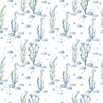 Watercolor seamless pattern with sea plants and stones.