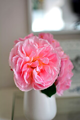 romantyczna rózowa roza w białym wazonie na stoliku, romantyczne tło, rózowa róza w wazonie,...