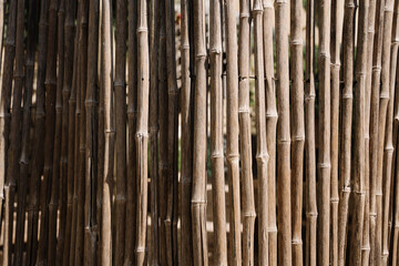 bamboo background texture pattern