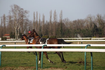 chute de cheval cavalier hippodrome
