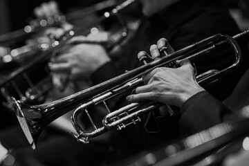 Trumpet in the hands of a musician in an orchestra in black and white - 740087639