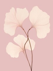 A single white flower stands out against a pink background, creating a striking contrast in this minimalist image of nature.