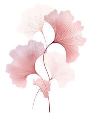Two delicate pink flowers stand out against a clean white background, creating a simple yet elegant image.