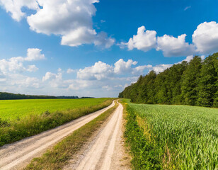 Fototapeta na wymiar Country road through a green landscape with meadows and forests