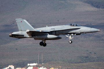 Fototapeta na wymiar Aviación militar, avión de combate aterrizando