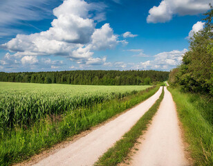 Fototapeta na wymiar Country road through a green landscape with meadows and forests
