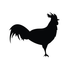 Rooster Silhouette Isolated on White. Nature and domestic birds concept vector