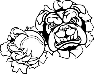 A bulldog dog animal sports mascot holding tennis ball breaking through the background with its claws