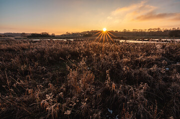 Winter sunset landscape with a view over wetlands in a stream valley - NP Drentsche Aa, Drenthe, The Netherlands. © Henk Osinga