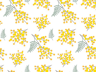 Yellow Mimosa Branches seamless Pattern. Spring Blooming flower. Simple Flat design illustration. Seasonal Botanical background. Cute Floral blossom illustration