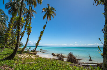 Beach on Zapatilla 2 Island, Bastimentos, Bocas del Toro, Panama