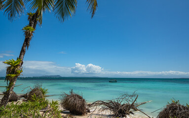 Beach on Zapatilla 2 Island, Bastimentos, Bocas del Toro, Panama