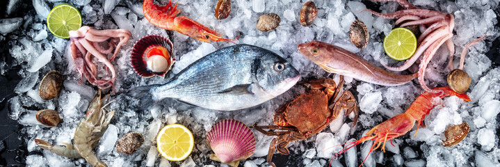 Seafood panorama. Fresh fish and sea food on ice, overhead flat lay