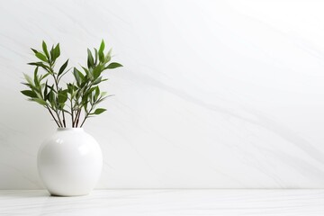Closeup vase and plants on white marble table and white marble wall backgrounds with copy space - obrazy, fototapety, plakaty