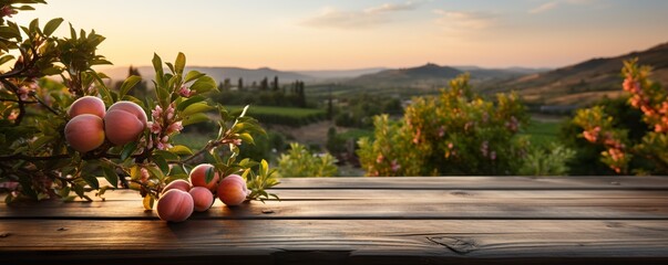 Empty rustic old wooden boards table copy space with peach trees orchard in background. Some ripe fruits on desk. Product display template - obrazy, fototapety, plakaty