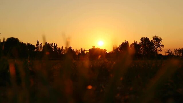 Atardecer en campo country, cielo rosado y naranja