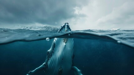 majestic whale in the middle of the sea during the day in high resolution and high quality. concept real sea animals HD - obrazy, fototapety, plakaty