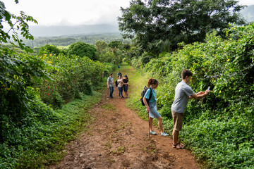 Obraz premium a Hawaiian landscape 