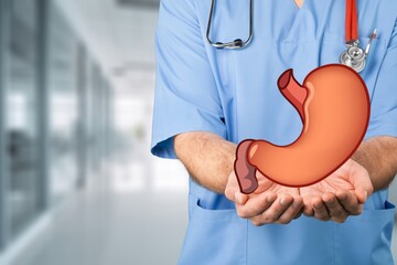 Gastrointestinal tract in Hands of medical doctor