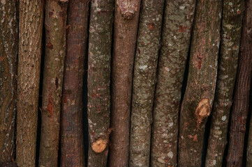 unhewn wooden beams stand tightly next to each other. rough old wooden background
