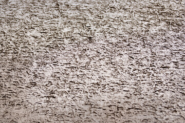 Black earthy dirty mud on transparent glass