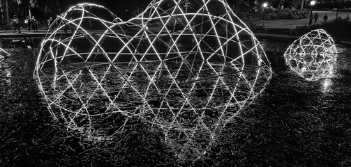 Black and white sculpture reflection glow Botanical Garden Brisbane