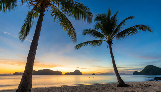 Two palm trees on the beach at dawn, Corong Corong beach, El Nido, Palawan, Mimaropa, Luzon, Philippines