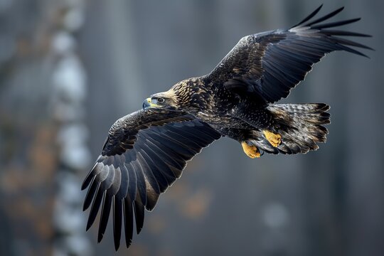 A large golden eagle effortlessly glides through a forest, surrounded by towering trees.