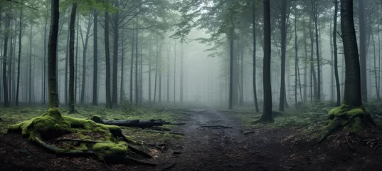 Foto op Plexiglas Panorama of foggy forest. Fairy tale spooky looking woods in a misty day. Cold foggy morning in horror forest ©  Mohammad Xte
