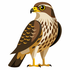 Brown hawk standing full-face on two paws fold wings. Vector illustration isolated on white