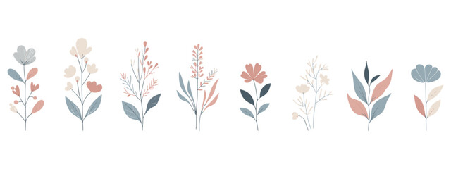 Vector set of boho plants. Beautiful wild grass and flowers. Collection of floral elements: pampas grass, poppy heads, lavander, cotton and other. Stylish flat elements for your design