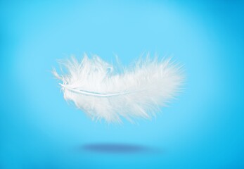 Abstract White soft Bird Feather in The Air.